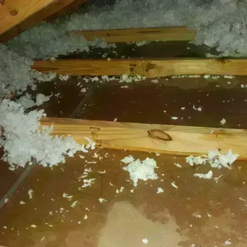 Attic Water Damage in Deerfield, IL