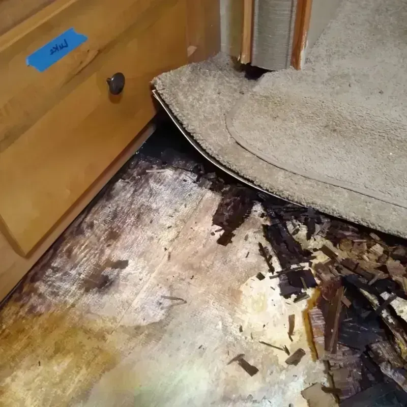 Wood Floor Water Damage in Deerfield, IL